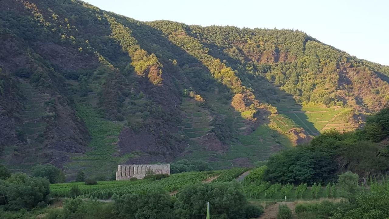Zur Koenigslay Villa Bullay Eksteriør bilde